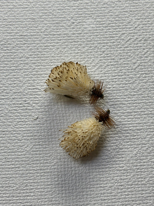 Goddard Caddis