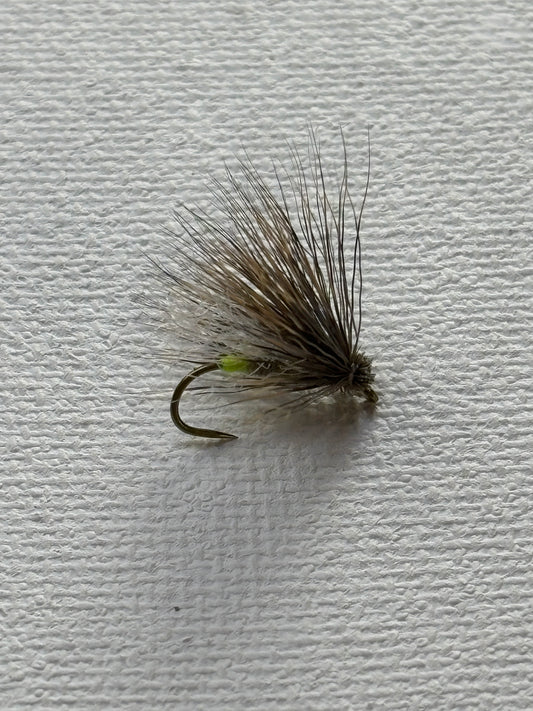 Grannom Caddis (female)
